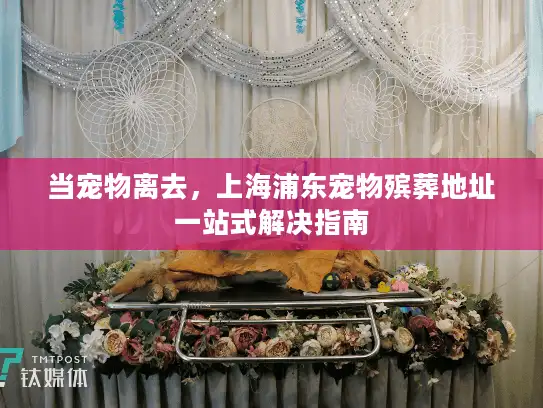 当宠物离去，上海浦东宠物殡葬地址一站式解决指南