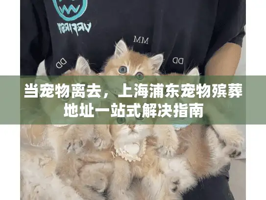 当宠物离去，上海浦东宠物殡葬地址一站式解决指南