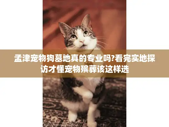 孟津宠物狗墓地真的专业吗?看完实地探访才懂宠物殡葬该这样选