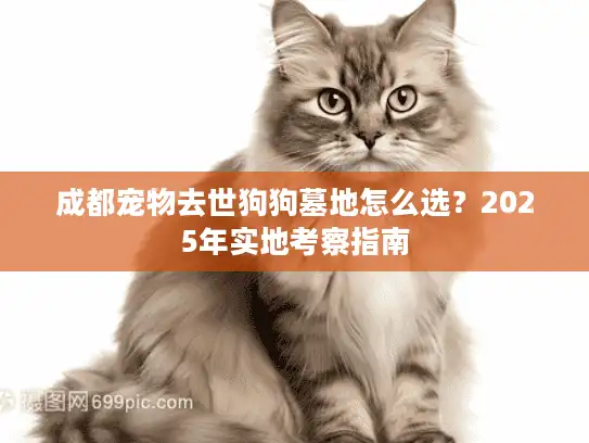 成都宠物去世狗狗墓地怎么选？2025年实地考察指南