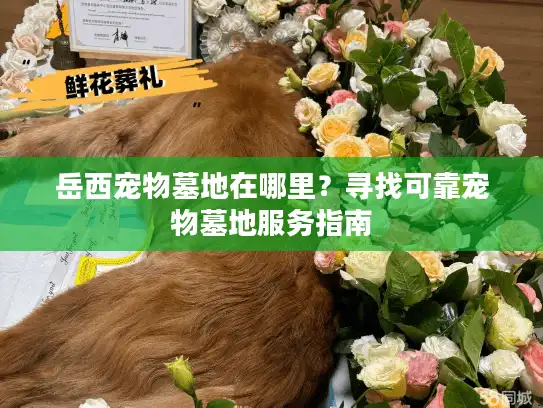 岳西宠物墓地在哪里？寻找可靠宠物墓地服务指南