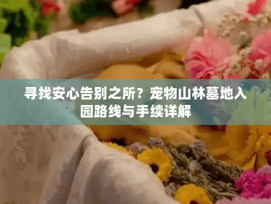 寻找安心告别之所？宠物山林墓地入园路线与手续详解
