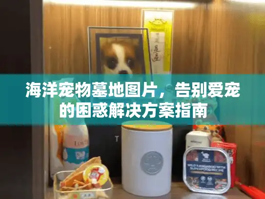 海洋宠物墓地图片，告别爱宠的困惑解决方案指南