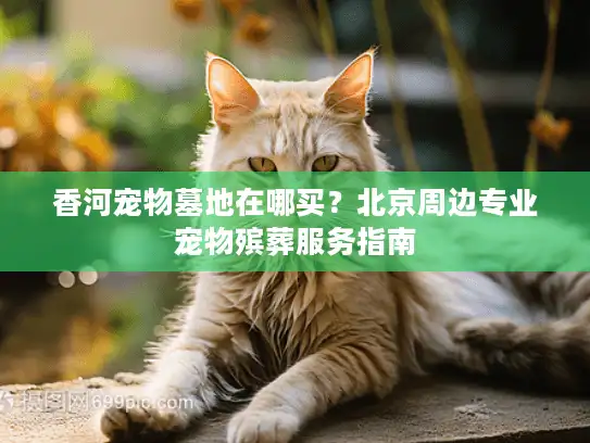 香河宠物墓地在哪买？北京周边专业宠物殡葬服务指南