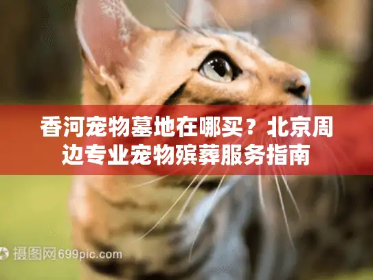 香河宠物墓地在哪买？北京周边专业宠物殡葬服务指南