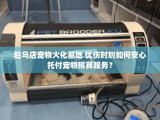 驻马店宠物火化墓地 忧伤时刻如何安心托付宠物殡葬服务？