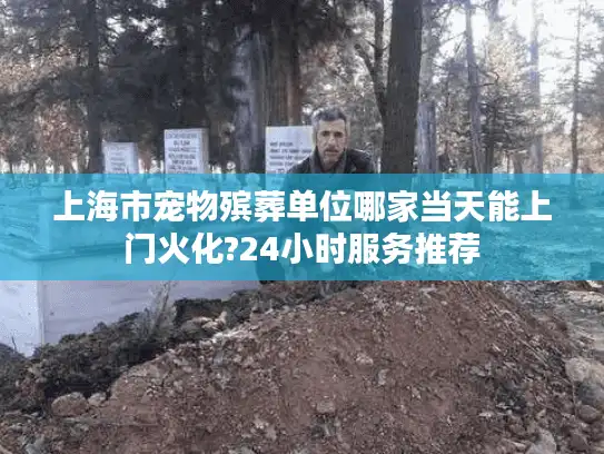 上海市宠物殡葬单位哪家当天能上门火化?24小时服务推荐