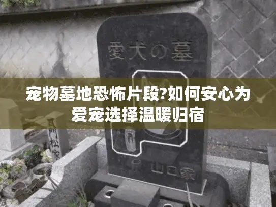 宠物墓地恐怖片段?如何安心为爱宠选择温暖归宿