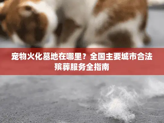 宠物火化墓地在哪里？全国主要城市合法殡葬服务全指南