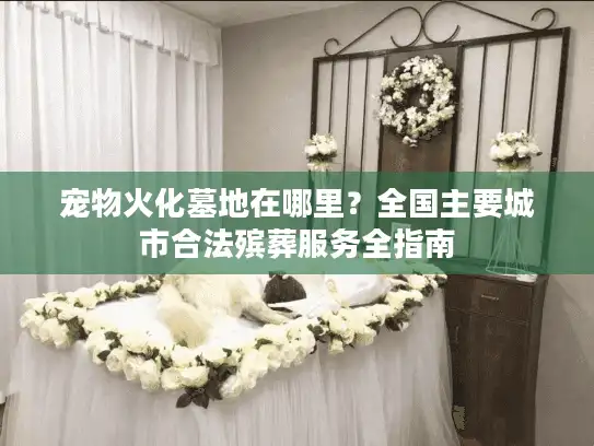 宠物火化墓地在哪里？全国主要城市合法殡葬服务全指南