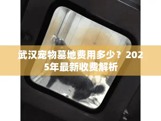 武汉宠物墓地费用多少？2025年最新收费解析