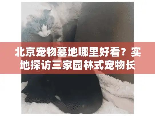 北京宠物墓地哪里好看？实地探访三家园林式宠物长眠地