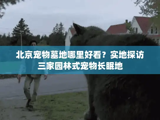 北京宠物墓地哪里好看？实地探访三家园林式宠物长眠地