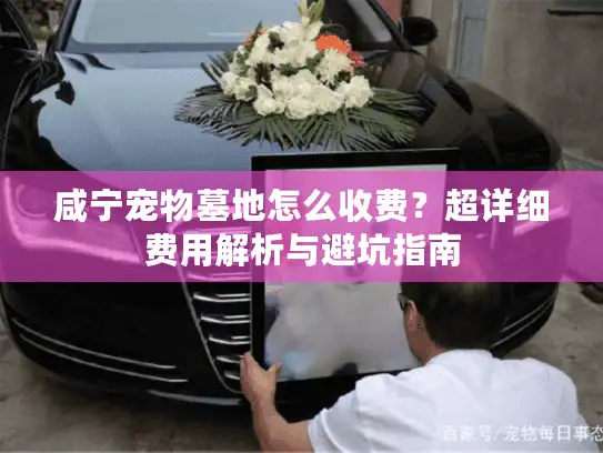 咸宁宠物墓地怎么收费？超详细费用解析与避坑指南