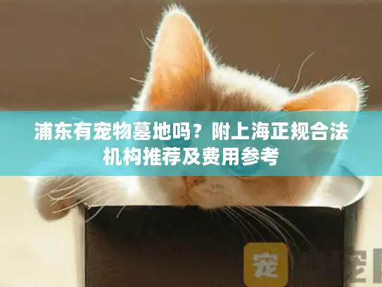 浦东有宠物墓地吗？附上海正规合法机构推荐及费用参考