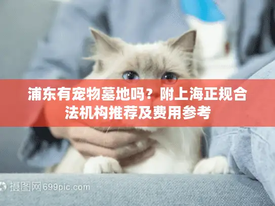 浦东有宠物墓地吗？附上海正规合法机构推荐及费用参考