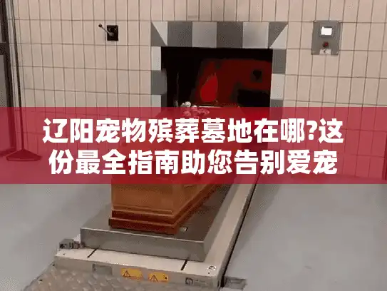 辽阳宠物殡葬墓地在哪?这份最全指南助您告别爱宠