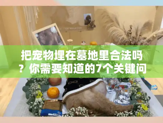 把宠物埋在墓地里合法吗？你需要知道的7个关键问题