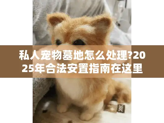 私人宠物墓地怎么处理?2025年合法安置指南在这里