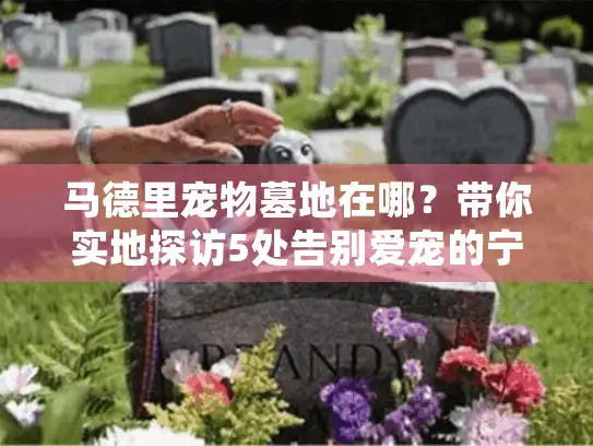 马德里宠物墓地在哪？带你实地探访5处告别爱宠的宁静之地