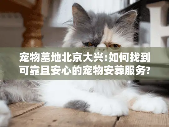 宠物墓地北京大兴:如何找到可靠且安心的宠物安葬服务?