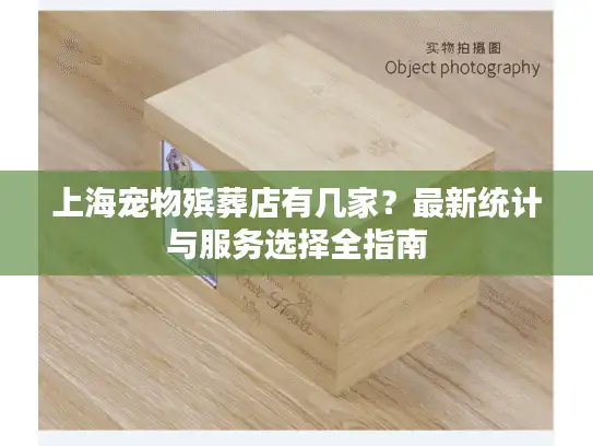 上海宠物殡葬店有几家？最新统计与服务选择全指南