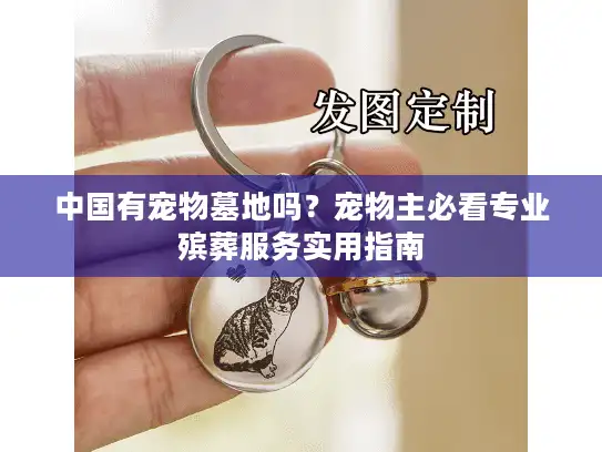 中国有宠物墓地吗？宠物主必看专业殡葬服务实用指南