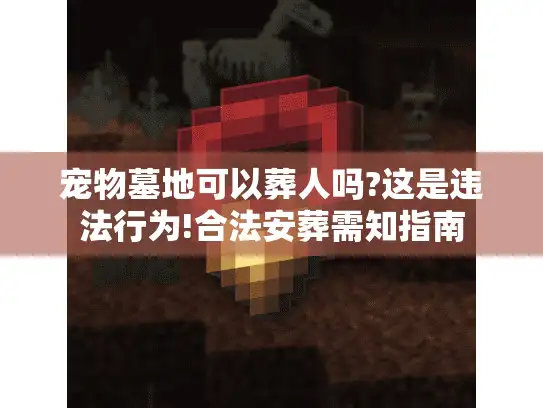 宠物墓地可以葬人吗?这是违法行为!合法安葬需知指南