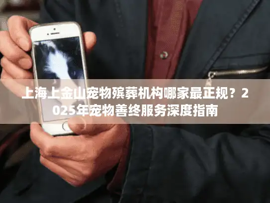 上海上金山宠物殡葬机构哪家最正规？2025年宠物善终服务深度指南