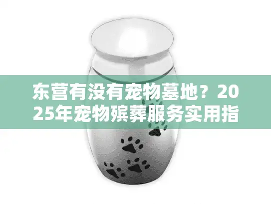 东营有没有宠物墓地？2025年宠物殡葬服务实用指南