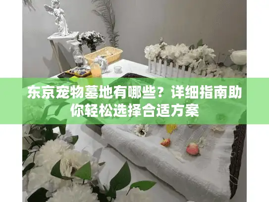 东京宠物墓地有哪些？详细指南助你轻松选择合适方案