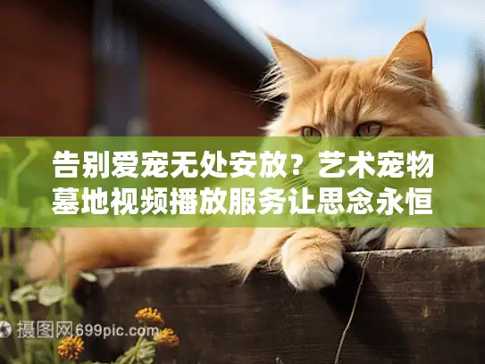 告别爱宠无处安放？艺术宠物墓地视频播放服务让思念永恒