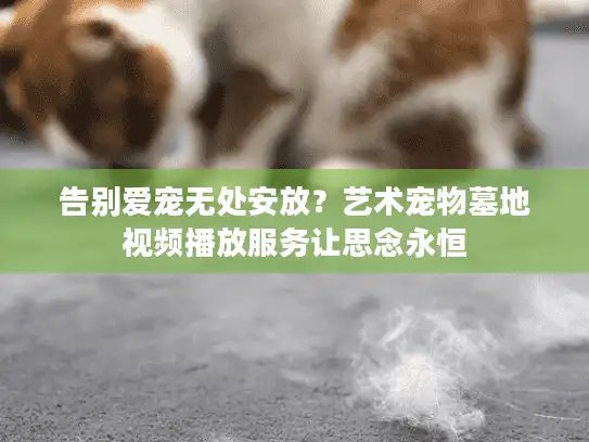 告别爱宠无处安放？艺术宠物墓地视频播放服务让思念永恒