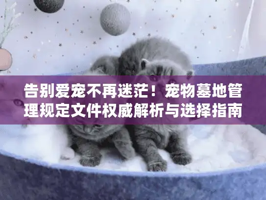 告别爱宠不再迷茫！宠物墓地管理规定文件权威解析与选择指南