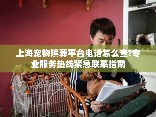 上海宠物殡葬平台电话怎么查?专业服务热线紧急联系指南