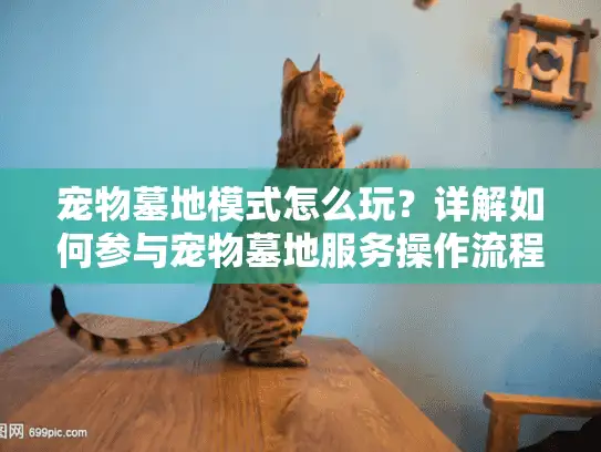 宠物墓地模式怎么玩？详解如何参与宠物墓地服务操作流程