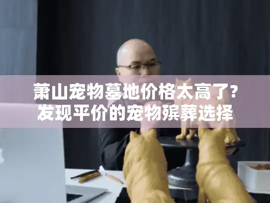 萧山宠物墓地价格太高了?发现平价的宠物殡葬选择