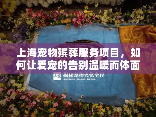 上海宠物殡葬服务项目，如何让爱宠的告别温暖而体面？