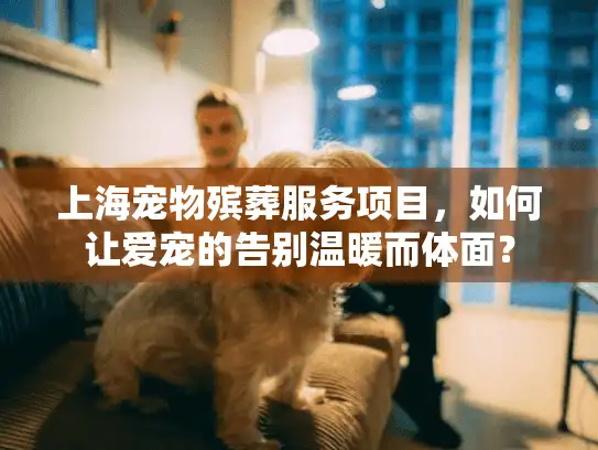 上海宠物殡葬服务项目，如何让爱宠的告别温暖而体面？