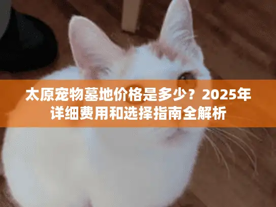 太原宠物墓地价格是多少？2025年详细费用和选择指南全解析