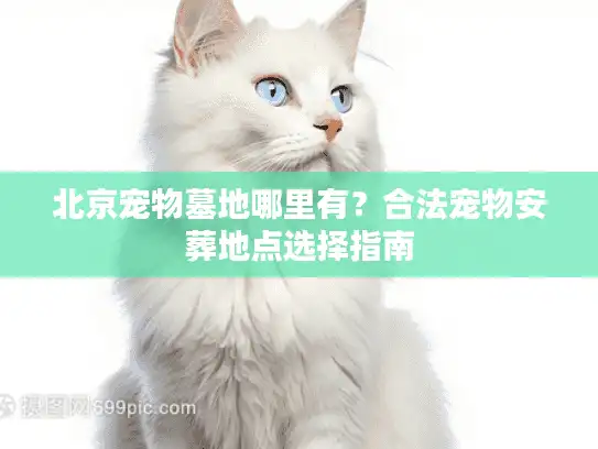 北京宠物墓地哪里有？合法宠物安葬地点选择指南