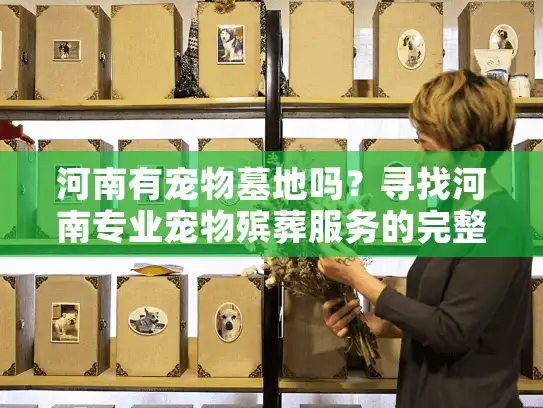 河南有宠物墓地吗？寻找河南专业宠物殡葬服务的完整指南