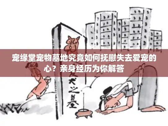 宠缘堂宠物墓地究竟如何抚慰失去爱宠的心？亲身经历为你解答