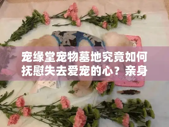 宠缘堂宠物墓地究竟如何抚慰失去爱宠的心？亲身经历为你解答