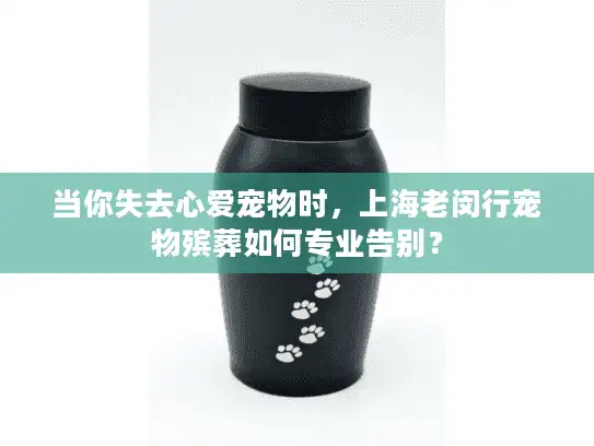 当你失去心爱宠物时，上海老闵行宠物殡葬如何专业告别？