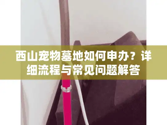 西山宠物墓地如何申办？详细流程与常见问题解答