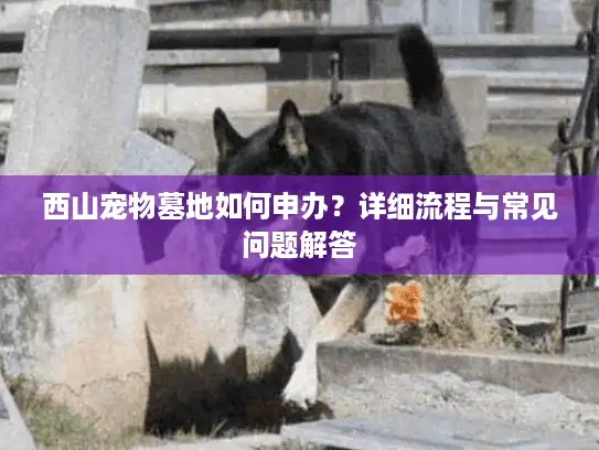 西山宠物墓地如何申办？详细流程与常见问题解答
