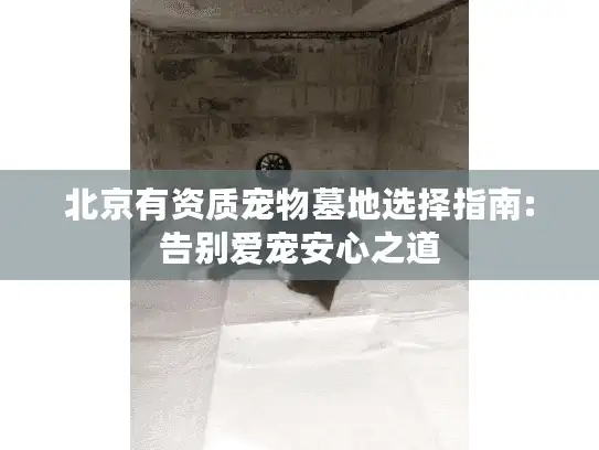 北京有资质宠物墓地选择指南:告别爱宠安心之道