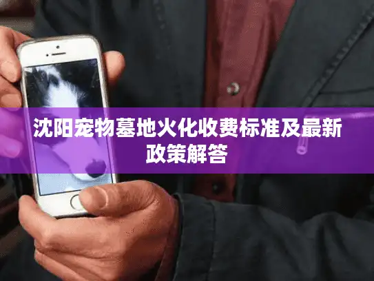 沈阳宠物墓地火化收费标准及最新政策解答