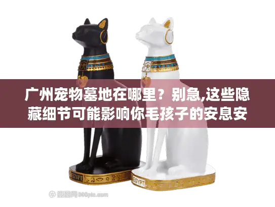 广州宠物墓地在哪里？别急,这些隐藏细节可能影响你毛孩子的安息安宁